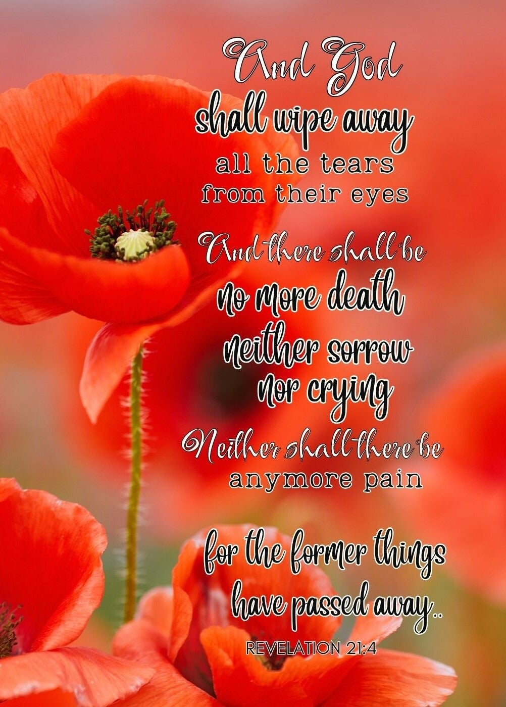 Sympathy Card - Poppies