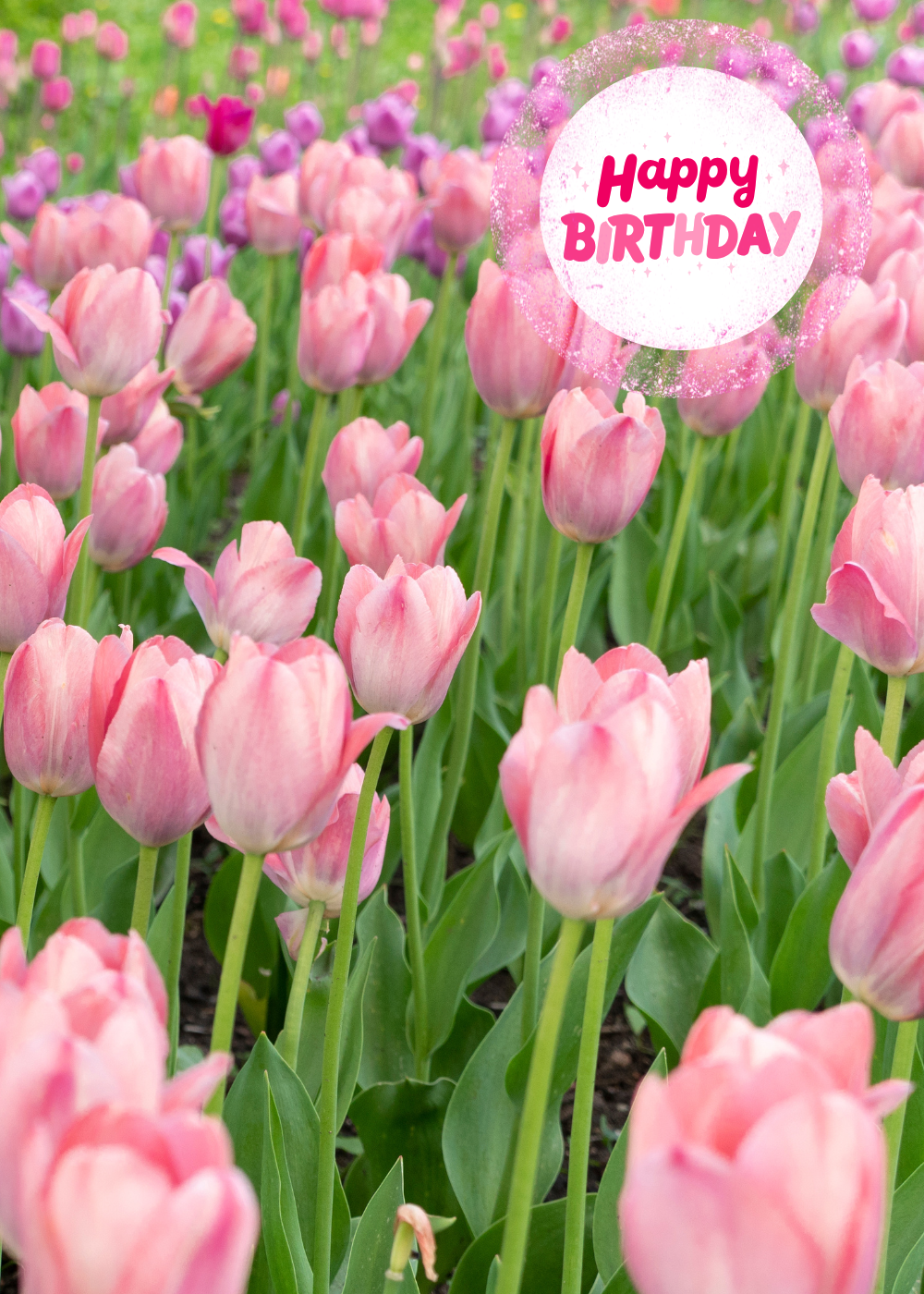 Birthday Card Pink & Purple Blooms