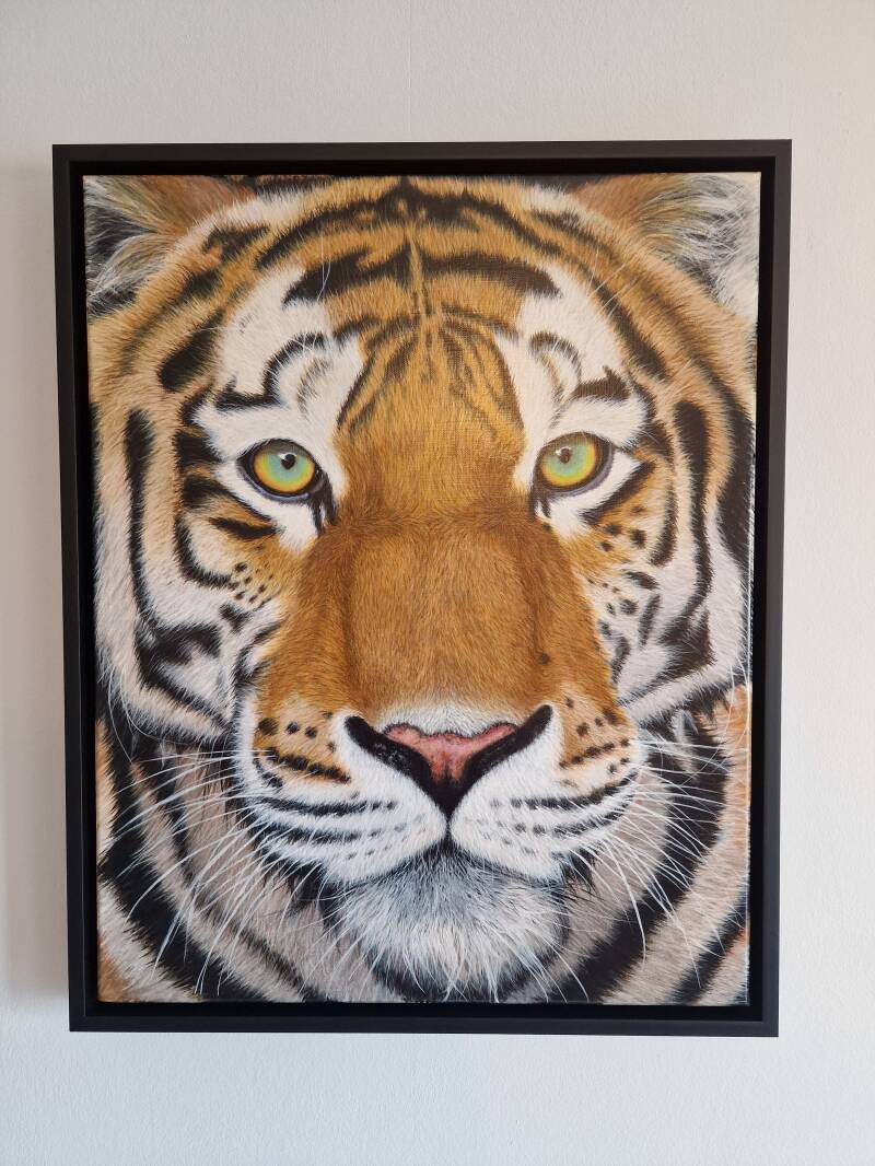 Tijger in kader