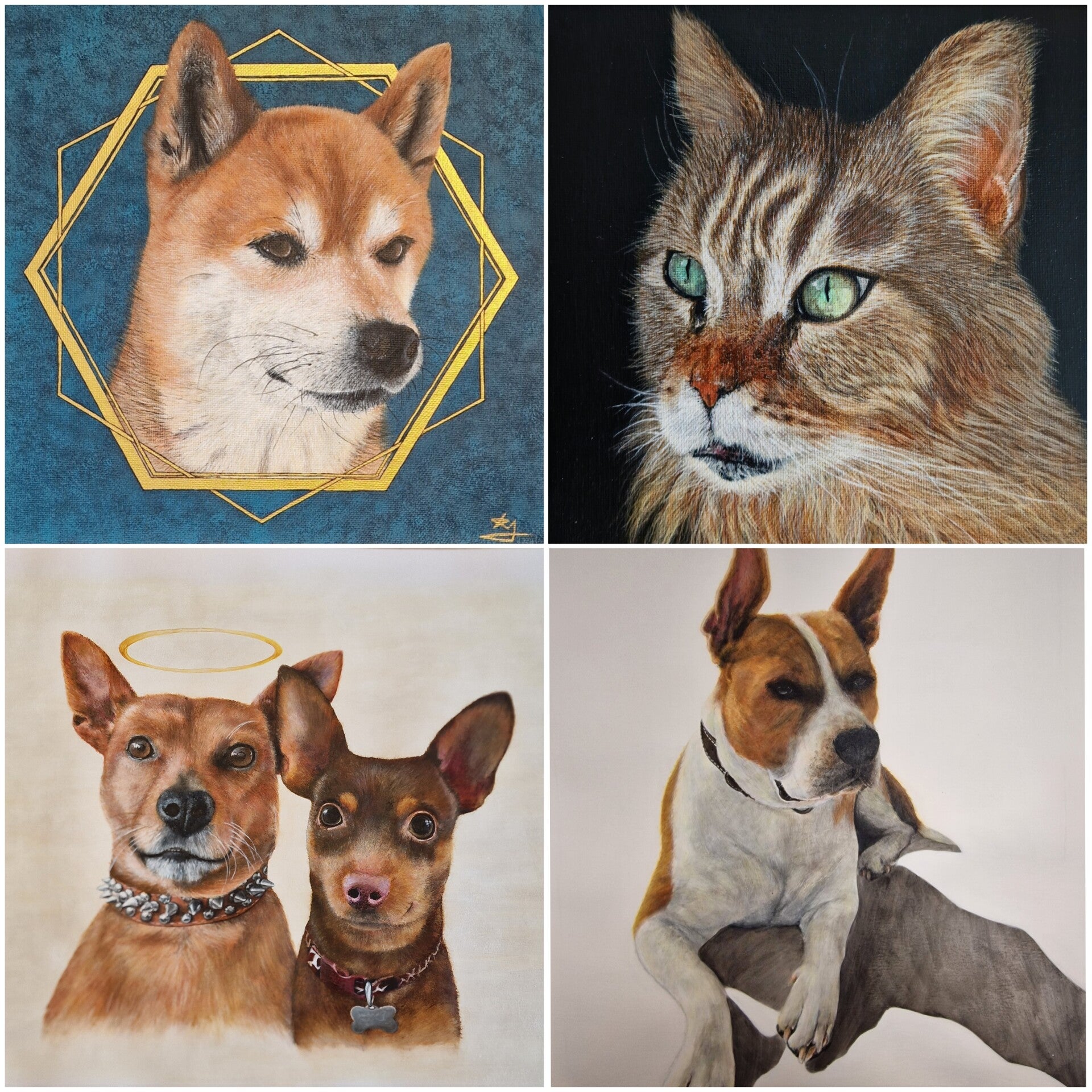 Collage huisdierportretten