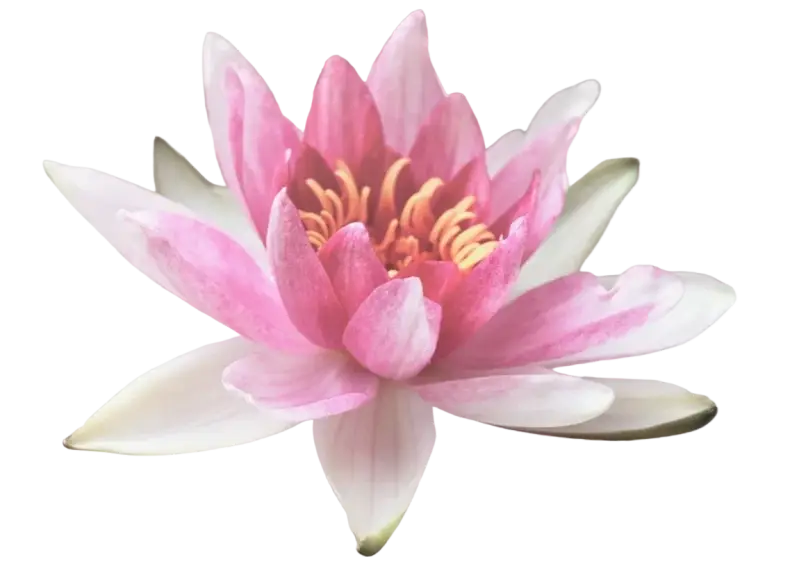 YOURS mind Inspirativ Webinar