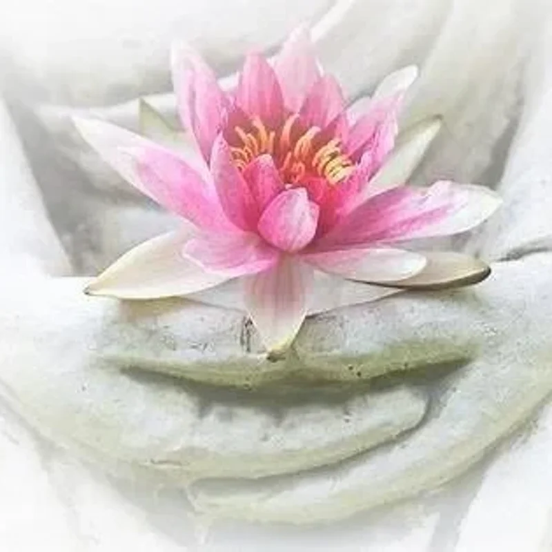 Inspirativ Webinar • YOURS mind community