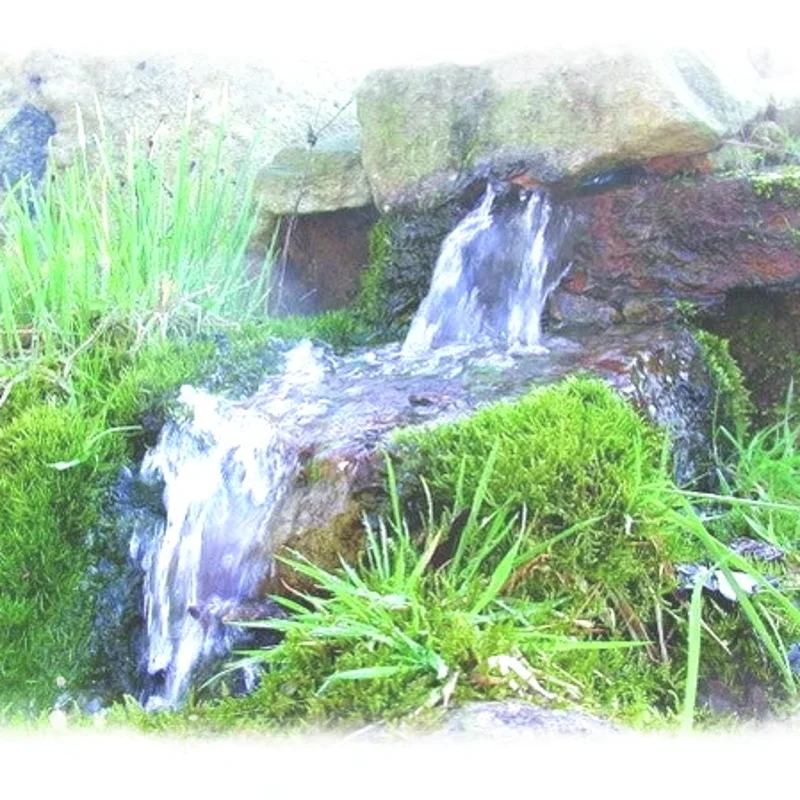 FInde deine wahre Quelle! Inspirativ Webinar von YOURS mind