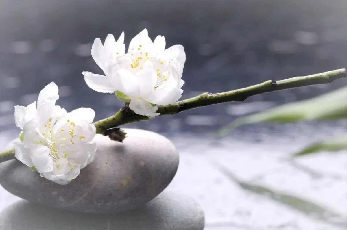 YOURS mind Webinar 4YOU