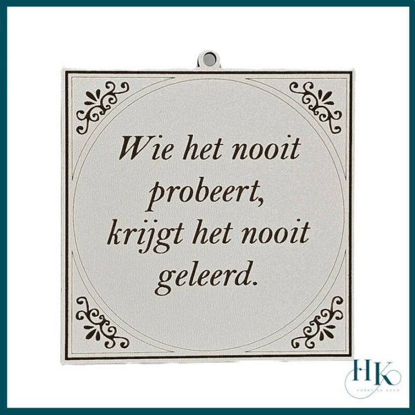 Tegeltje Wie het nooit probeert, krijgt het nooit geleerd.