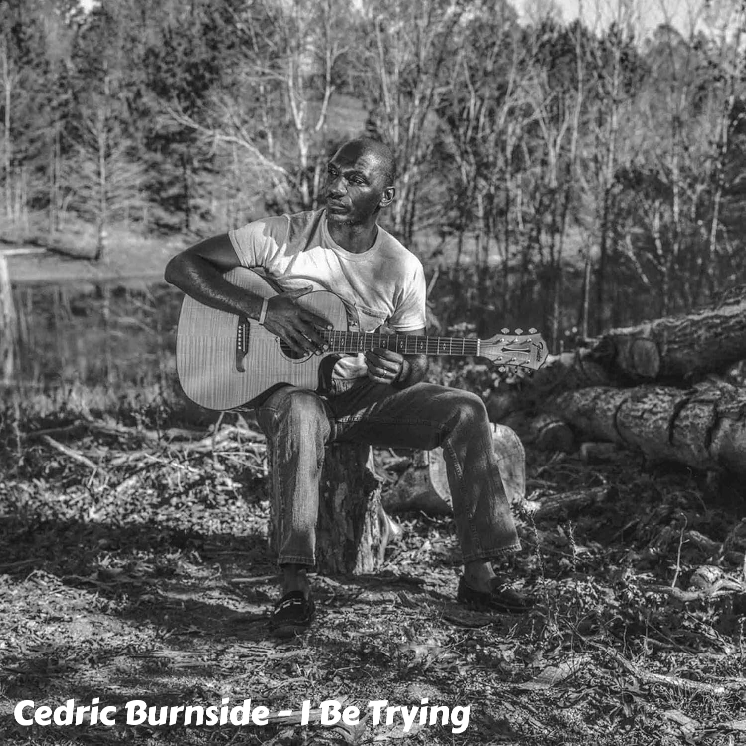 Cedric Burnside - I Be Trying