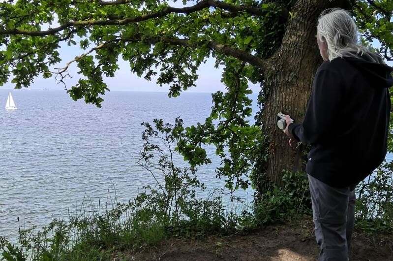 Blue Wave Festival Binz – Blues Camp Göhren