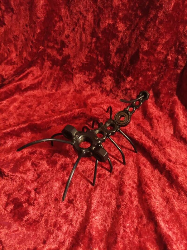 " Spinnenskorpion "
