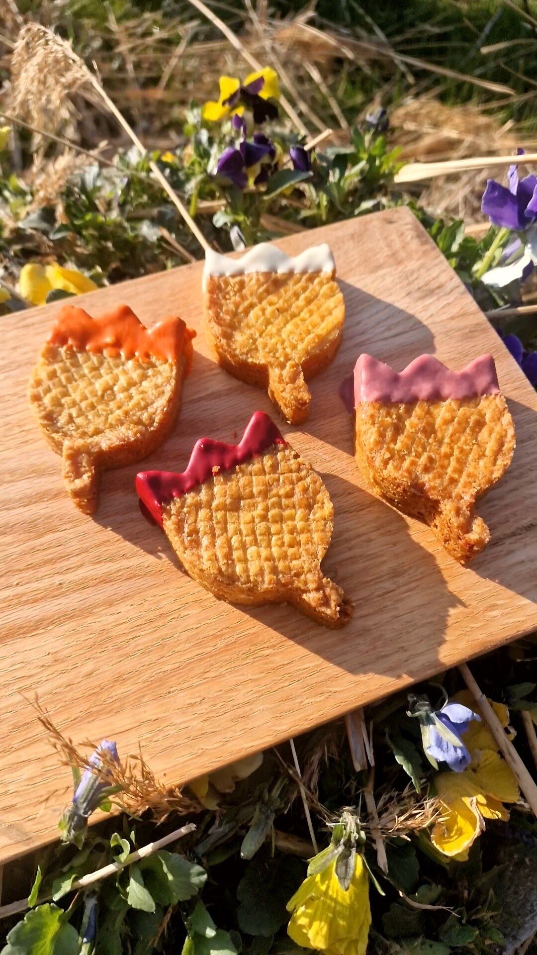 VOORJAARSACTIE! Tulpen en boterkoek