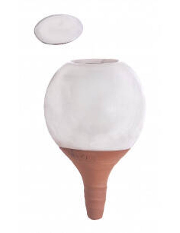 Oyas® à planter de taille S blanc