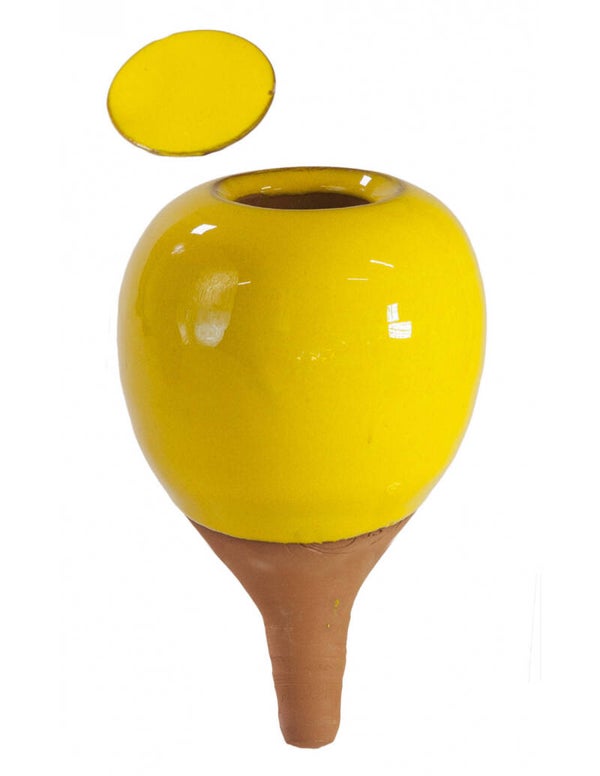 Oyas® à planter de taille S jaune