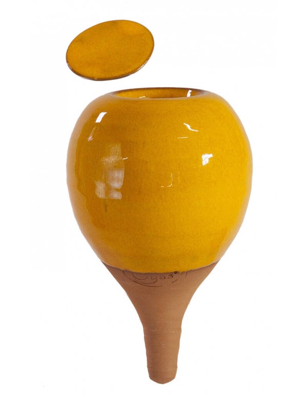 Oyas® à planter de taille S mandarine