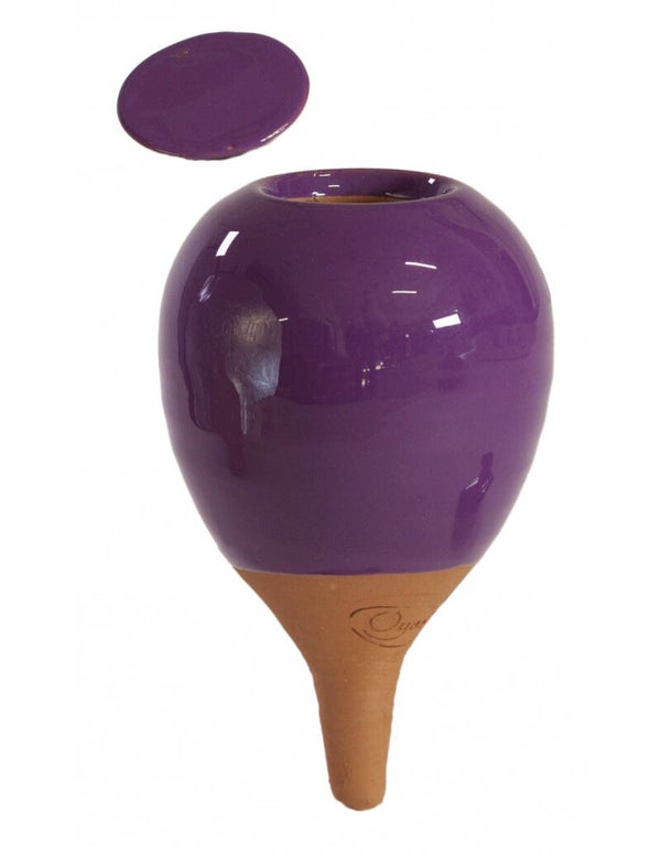 Oyas® à planter de taille S violet