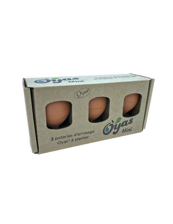 3 mini Oyas naturelles  à planter taille S