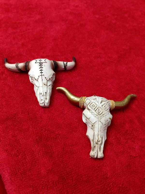 Bull heads