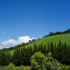 colline-standard.jpg