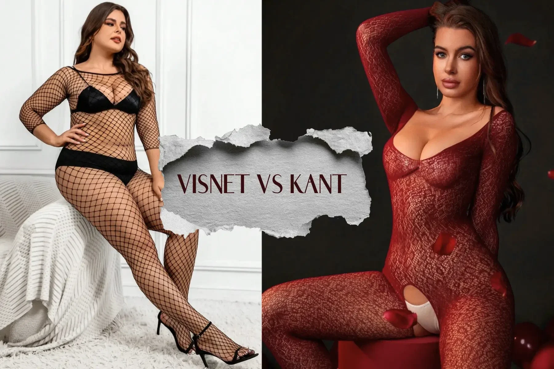Vergelijking tussen een ondeugende visnet bodystocking en een pikante kanten bodystocking van LekkerStout.