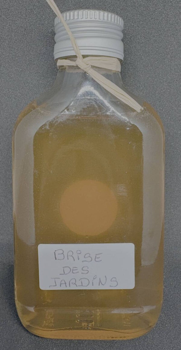 Oxymel Brise des Jardins