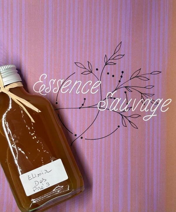 Oxymel Elixir des prés