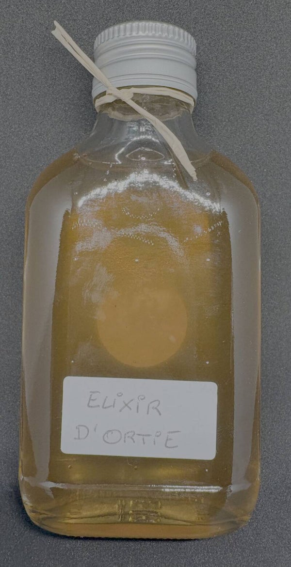 Oxymel Elixir d'ortie
