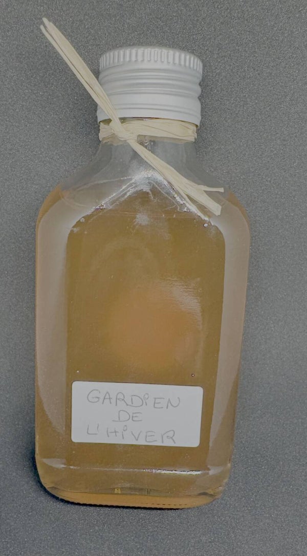 Oxymel Gardien de l'hiver