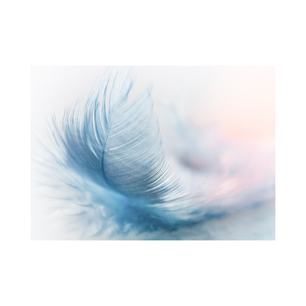 Accompagnement personnalisé 6 séances