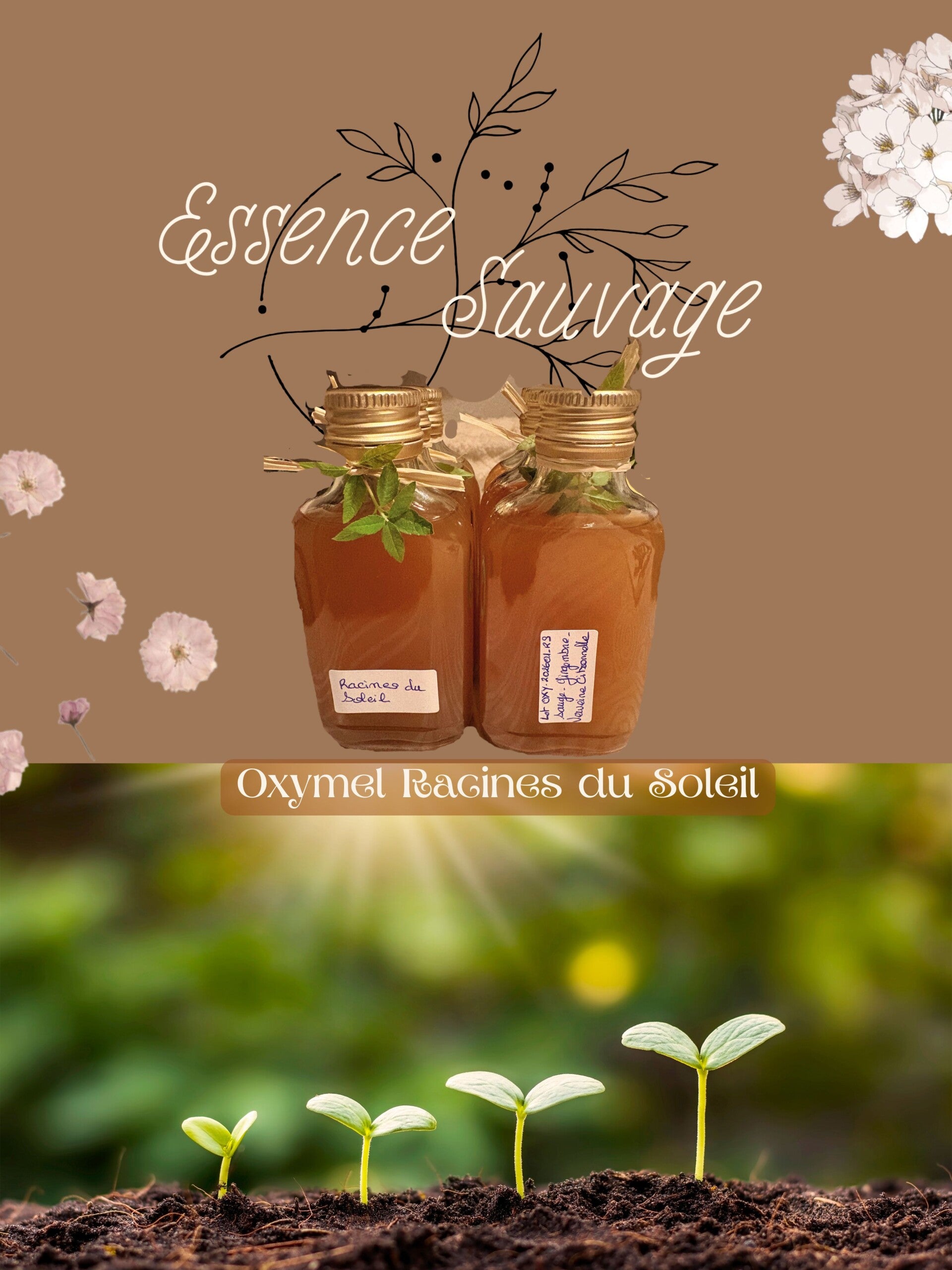 Oxymel Racines du soleil