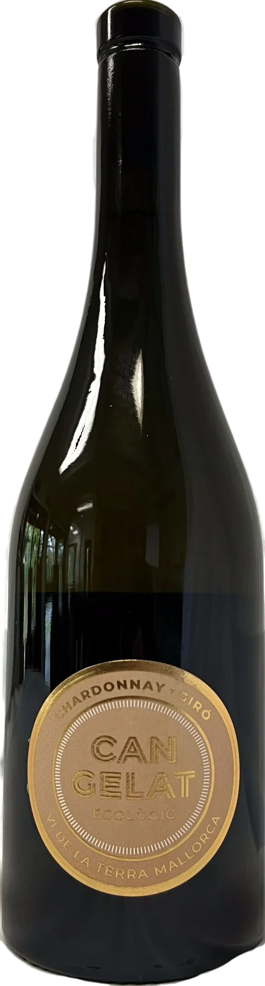 Can Gelat Chardonnay 2024 Magnum 1,5 liter