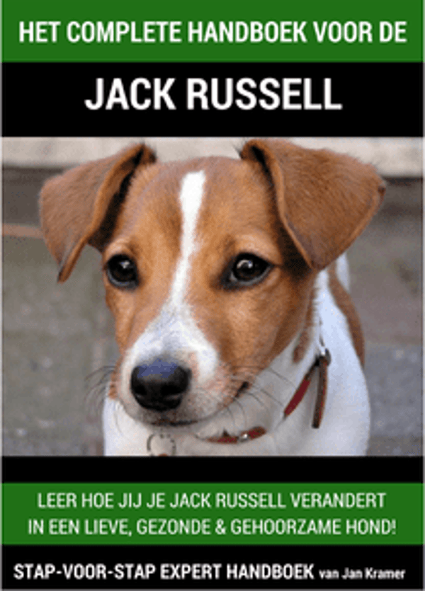 Jack Russell handboek