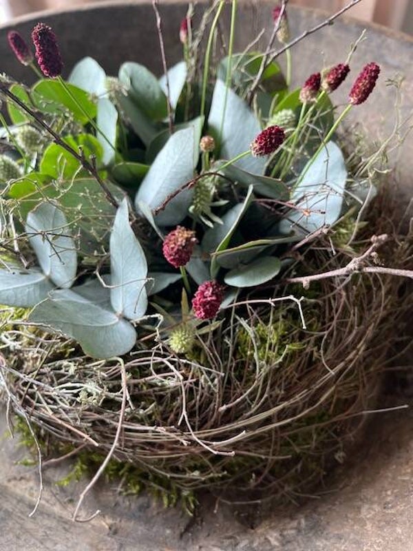 Seizoenstaart van natuurlijke groensoorten 🌿