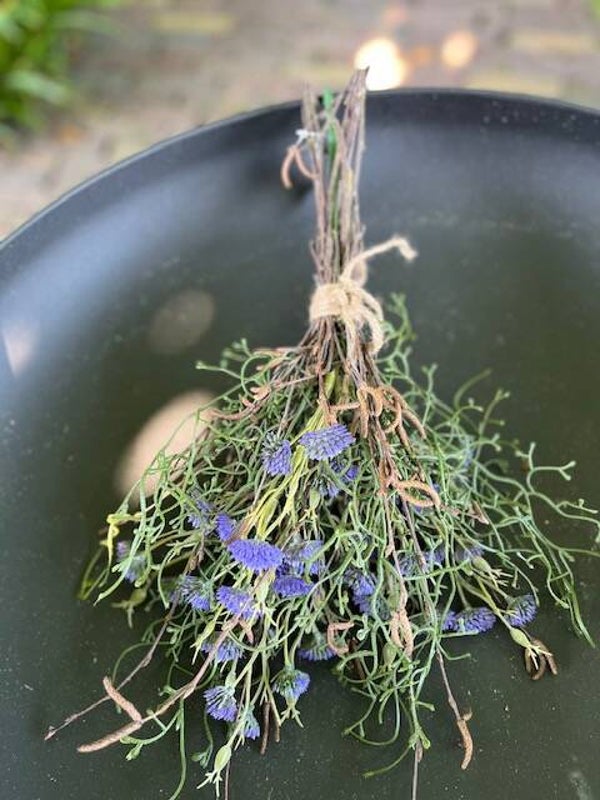 Decoratief toefje met blauwe Gillia, gagel & berkentakjes 💙