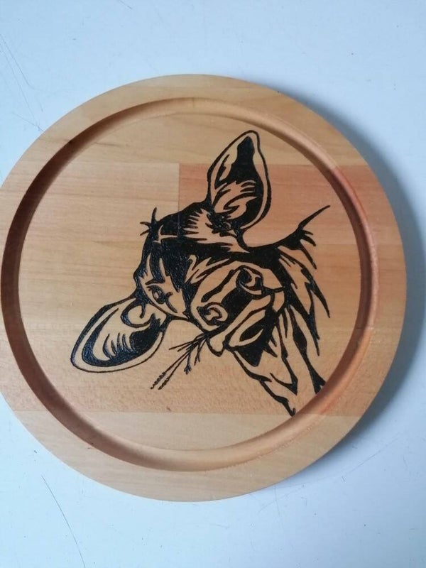 Koe