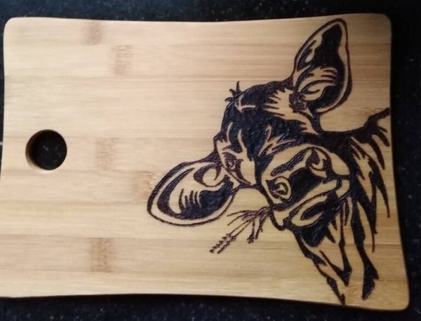 Koe