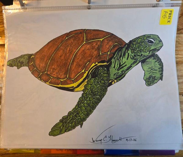 Sea Turtle with Spike