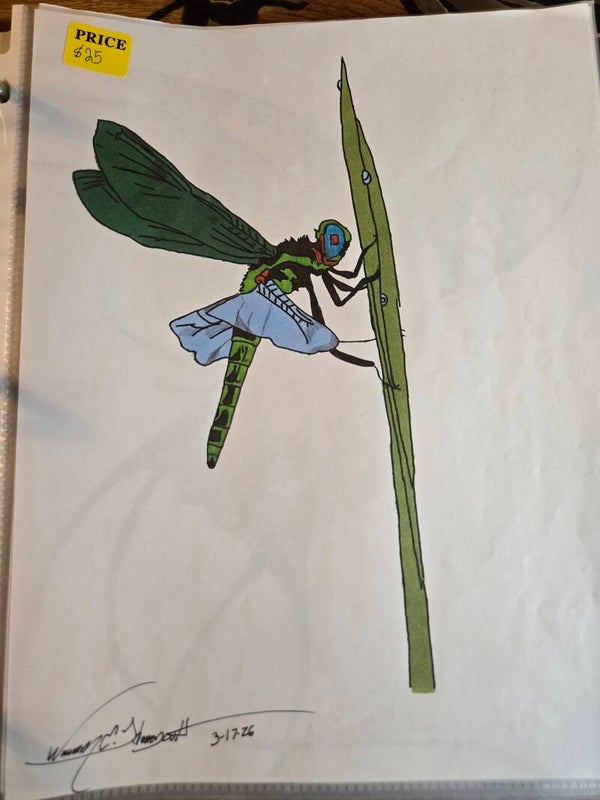 Dragonfly on Blade of grass
