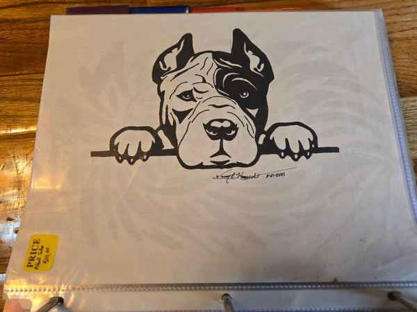 Dog looking over