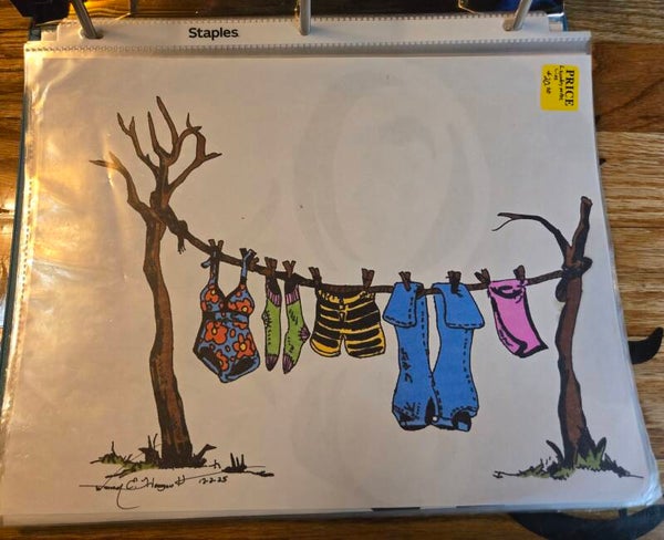Laundry on the Line