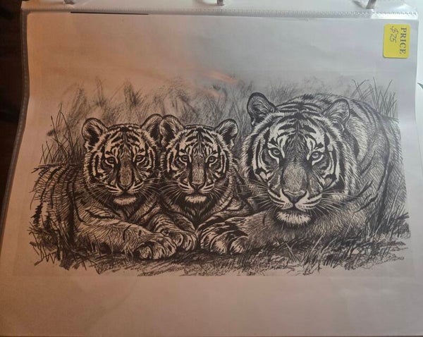 Tiger Family