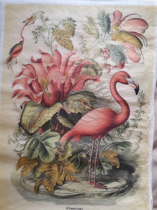 SECONDS - Flamingo Etching A2 40gsm Fibre Rice Paper (S16)