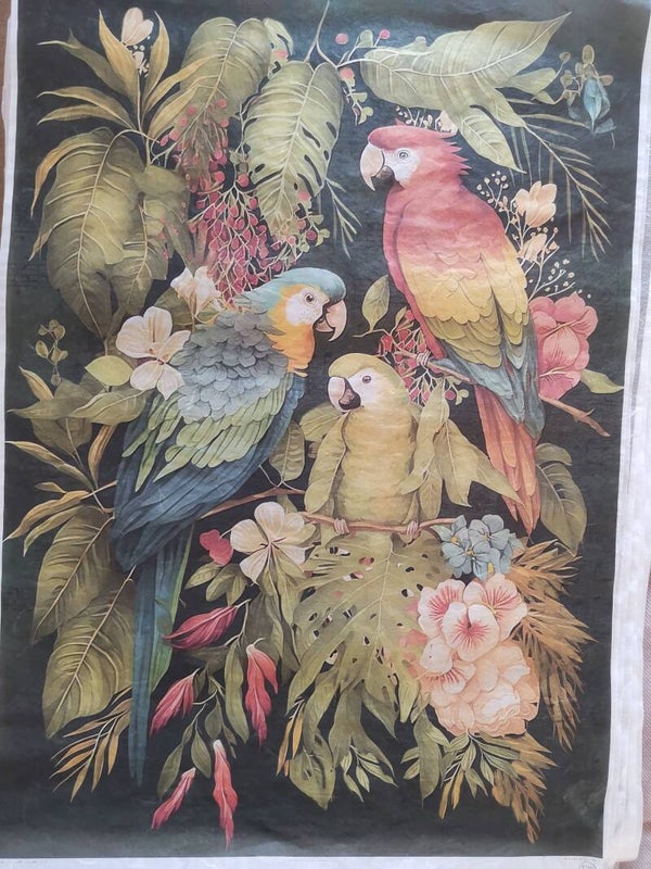 SECONDS - Parrots A2 30gsm Fibre Rice Paper (S29)