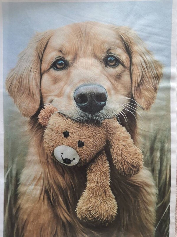 SECONDS - Pup Teddy 2 A3 40gsm Fibreless Rice Paper (C13)