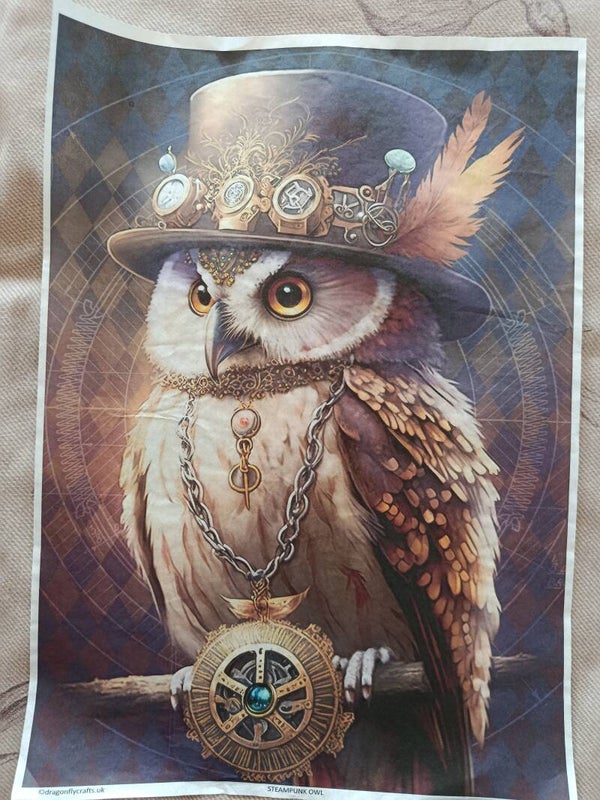 SECONDS - Owl A3 40gsm Fibreless Rice Paper (C5)