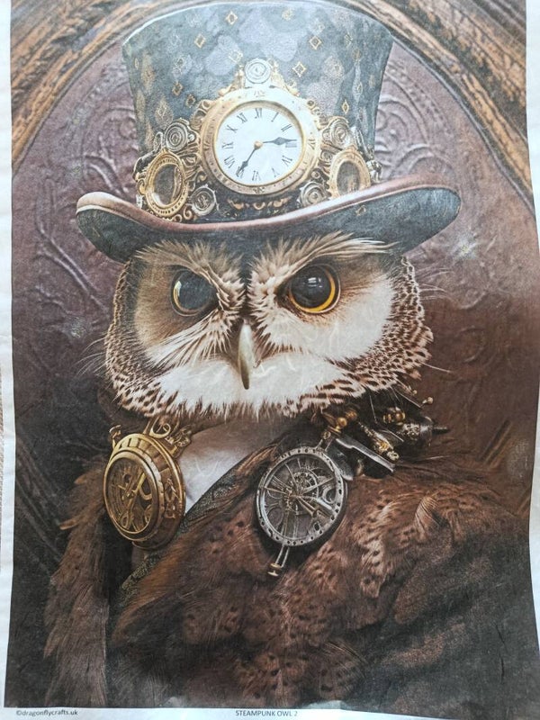 SECONDS - Owl A3 30gsm Rice Paper (C17)