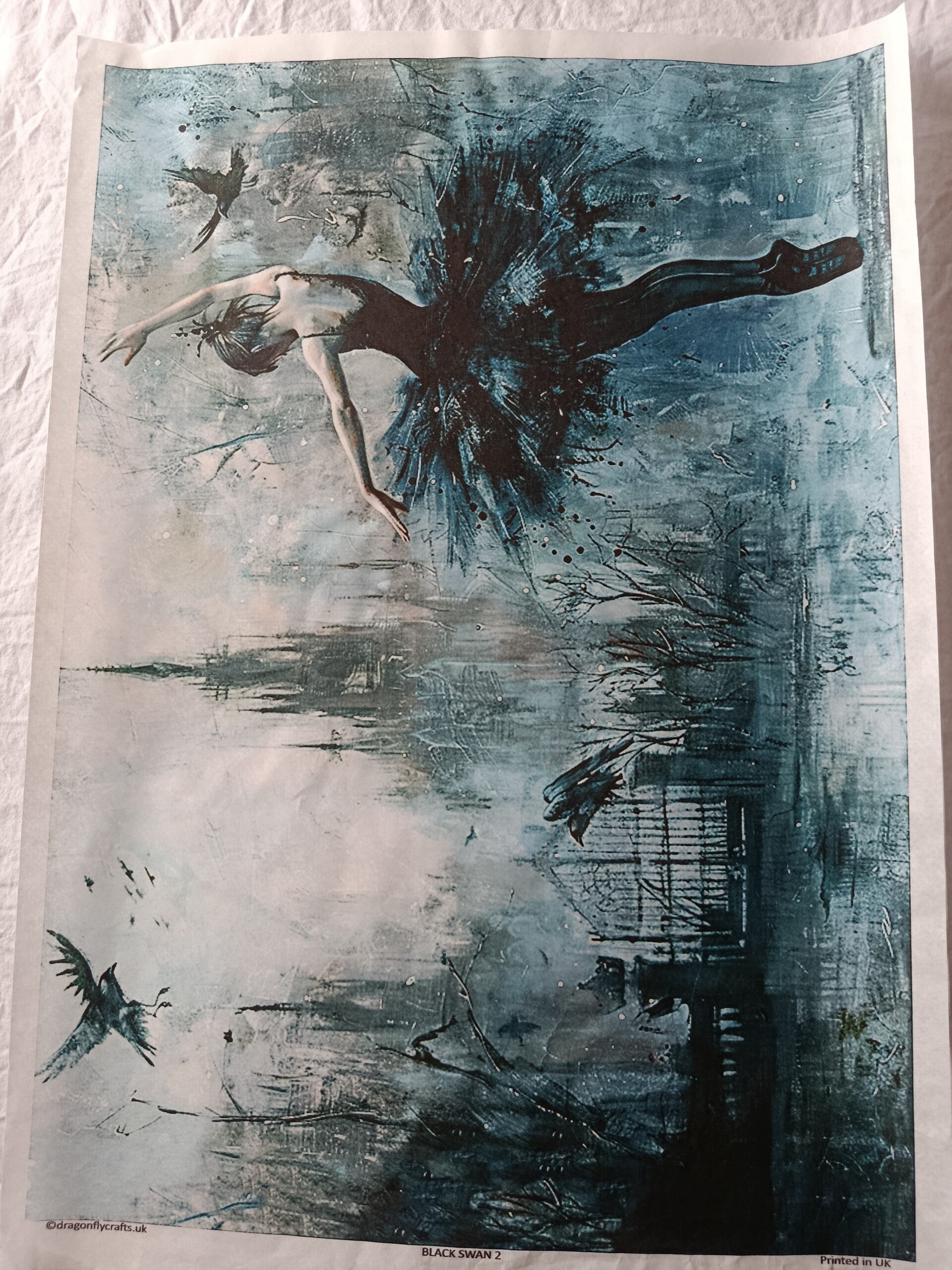 SECONDS - Black Swan A3 40gsm Fibreless Rice Paper (C3)