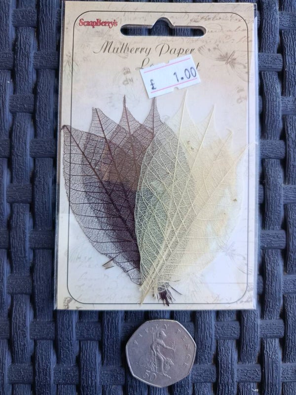 Skeleton leaves craft embellishments