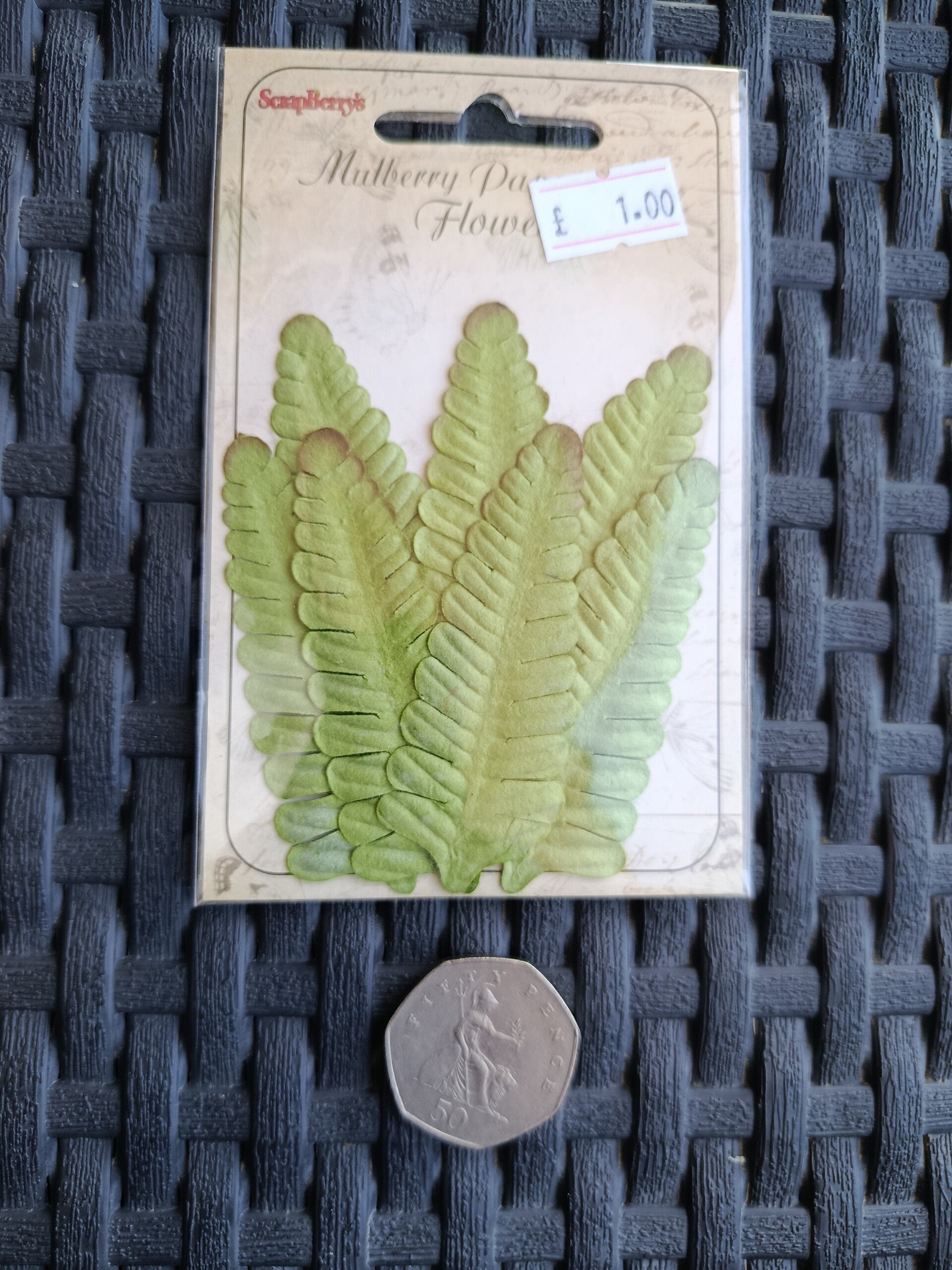 Mulberry paper green ferns craft embellishments