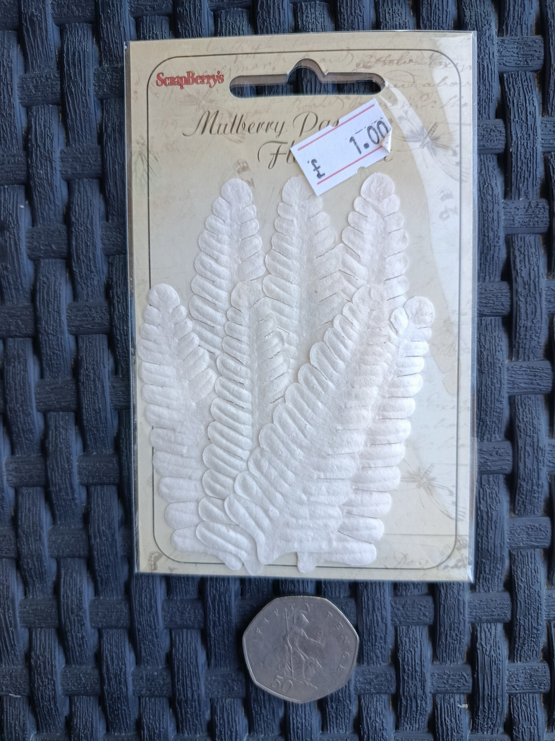 Mulberry paper white ferns craft embellishments
