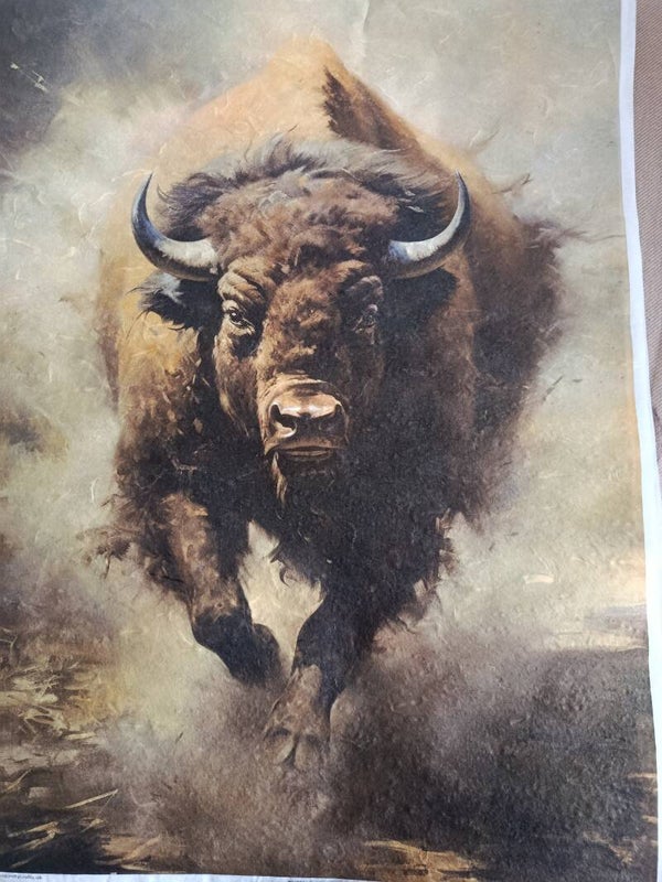 SECONDS - Buffalo A2 30gsm Fibre Rice Paper (S11)