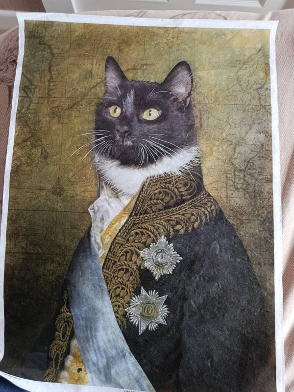 SECONDS - Gilligan A2 30gsm Fibre Rice Paper (S26)