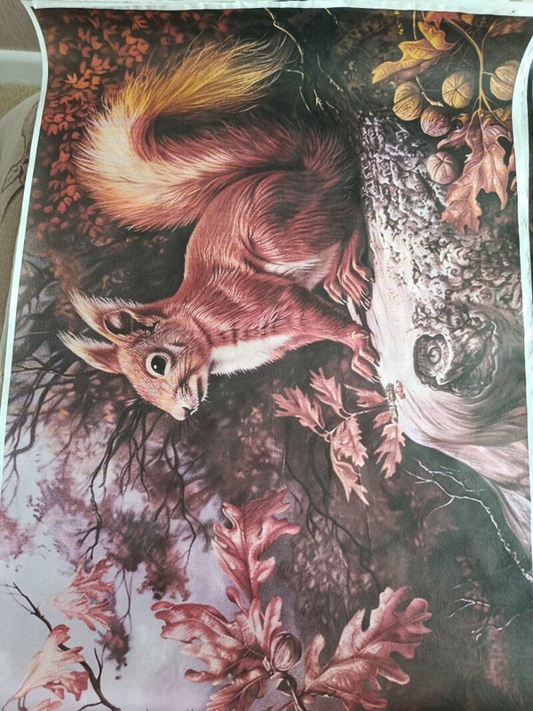 SECONDS - Squirrel A2 40gsm Fibreless Rice Paper (S29)